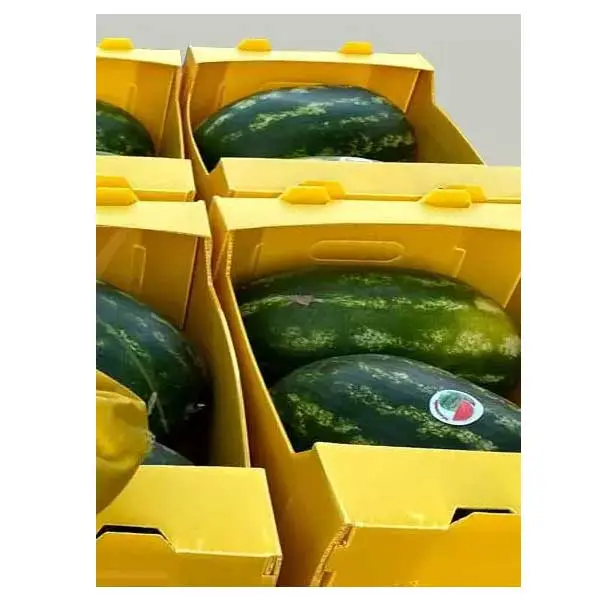watermelon